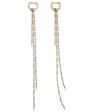 Eva Long Line Earrings