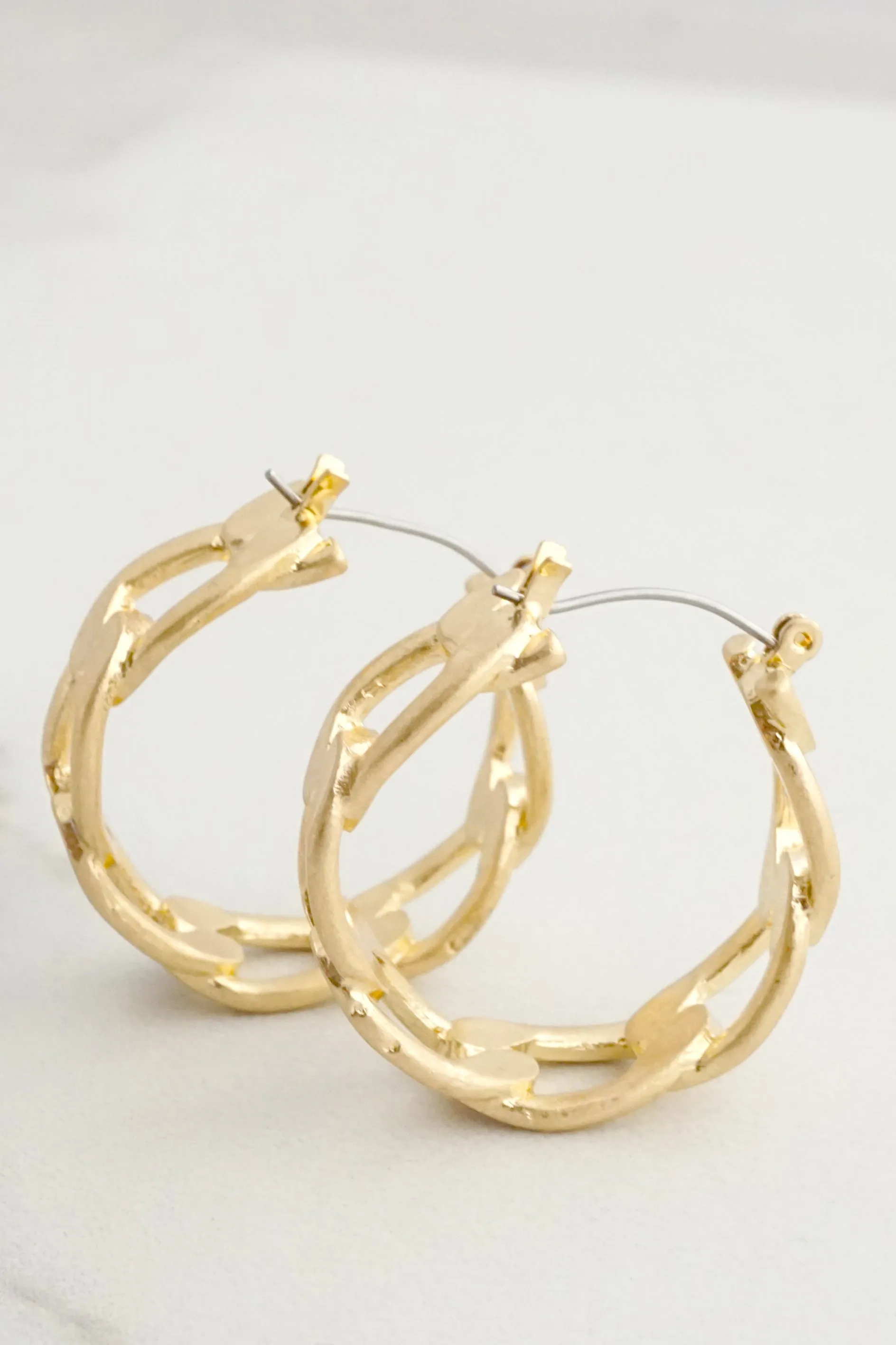 Hoop Link Earrings